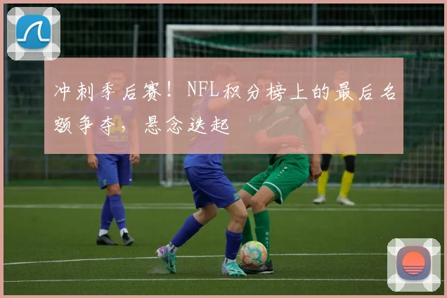 冲刺季后赛！NFL积分榜上的最后名额争夺，悬念迭起